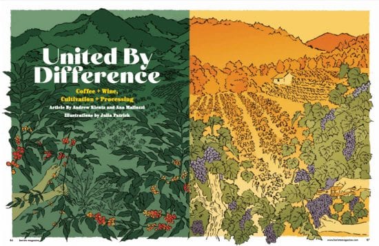 Explore the similarities and differences between coffee and wine. in the April + May 2020 15th Anniversary Issue of Barista Magazine.