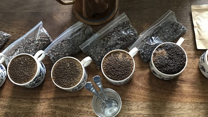 This is a picture of small mugs with samples of Filipino coffee. It is set up for a coffee cupping, with a notebook next to it.