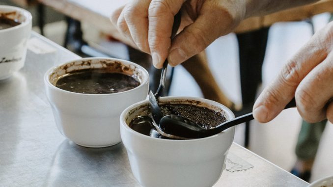 A close up of hands scooping coffee grounds out of a cup with two spoons. There are several coffee cupping samples around the silver table.