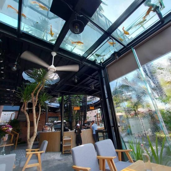 The interior of Water Bean cafe. Above on the ceiling is an aquarium with fish in it.