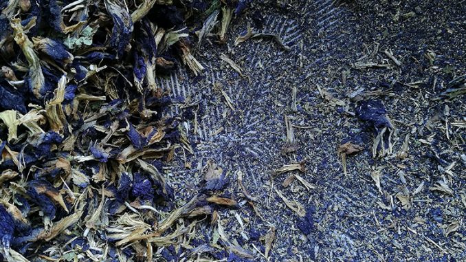 A closeup of bright blue butterfly pea flowers, both full and crushed, in a wicker basket.