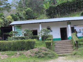 A house on a slanted slope.