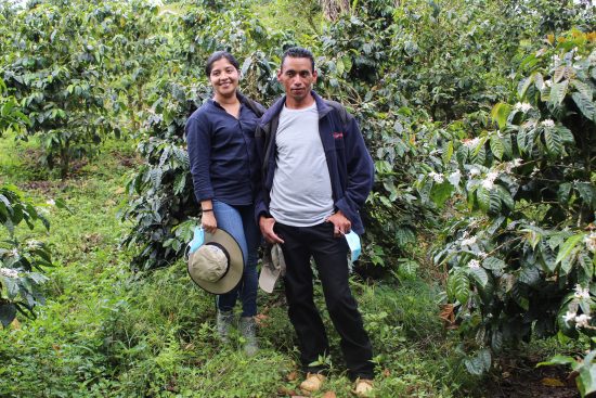 Two people stand amongst coffee trees, of the varieties they won the competition with.