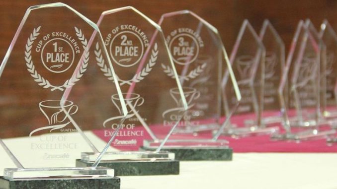 A set of five glass octagonal trophies sit on a table.