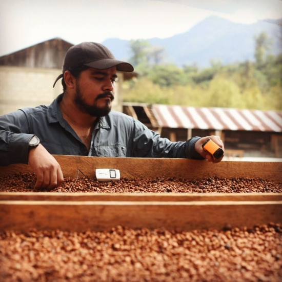 A man stands in front of coffee cherry beds. He has a baseball cap and a beard.