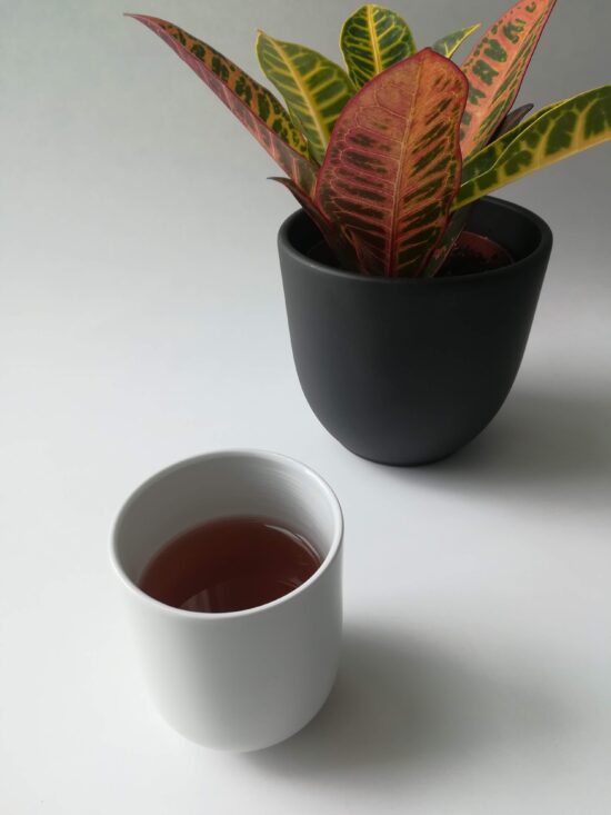 A plain white cup containing a dark green tea. Behind the cup on the table, a small potted snake plant. 