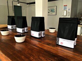 A wooden table with porcelain cups laid out in front of coffee bags. The bags each represent a different coffee that will be tasted.