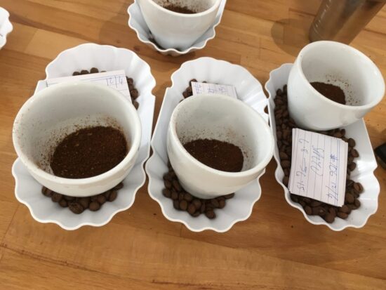 Coffee cups containing ground coffee, labeled with slips of paper. They are waiting to be covered in boiling water to brew.