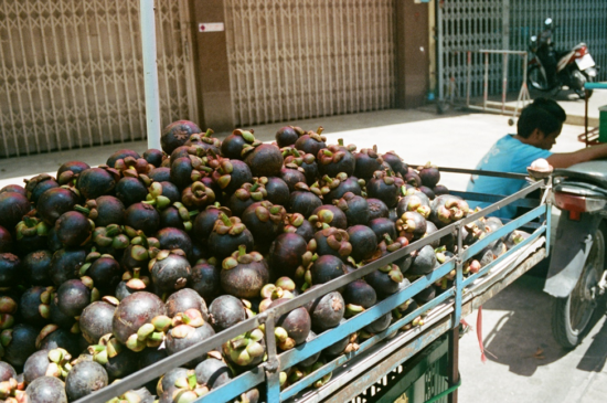 A wheeled back trailer full of hundreds of fresh mangosteens. The trailer is attached to a motorcycle. A young man kneels by the seat of the motorcycle in the background.