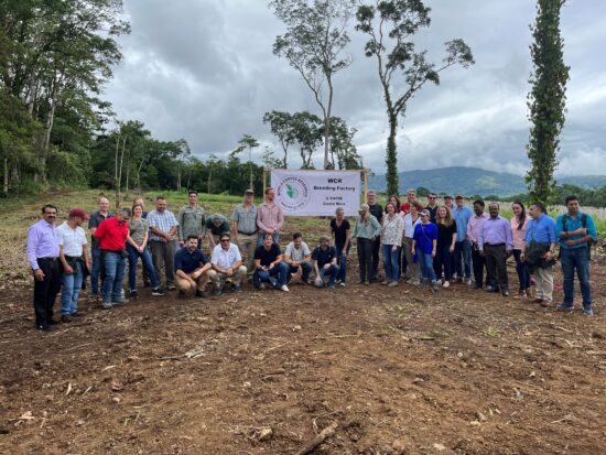 A group of people stand in a semicircle on a hill. There is a WCR banner in the background, trees on the outskirts of the hill, and more hills behind. 