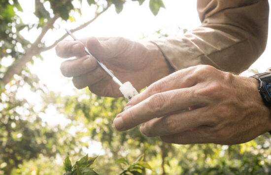 The same man's hands, putting something in a plastic sample vial with a kind of Q-tip implement.