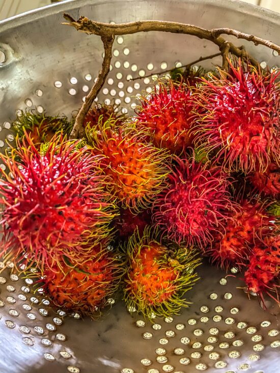 A bunch of ripe rambutans in a metal colander, some still on their twigs. The fruit is about the size of a large strawberry, with pink and yellow spines almost an inch long covering the whole fruit.