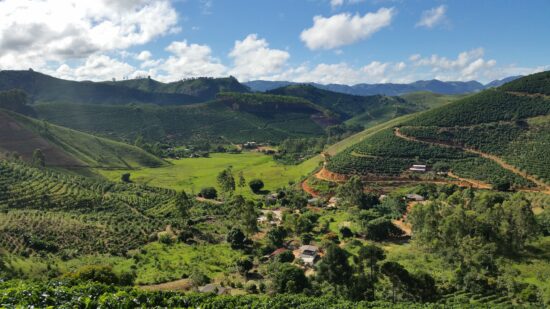 A Brazilian coffee farm with a small flat valley between low hills, dirt pathways carved between rows of trees, and several small farm buildings partially hidden by plant life. Larger hills loom in the distance under a blue, partly cloudy sky.