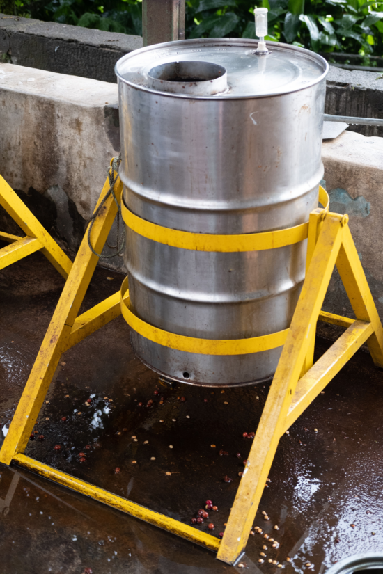 An outside view of a large metal barrel for coffee fermentation. It is tall, held upright by a yellow stand with an A frame and 4 legs. At the top is a large hole for dispensing and a small valve for releasing gases as the cherries ferment.