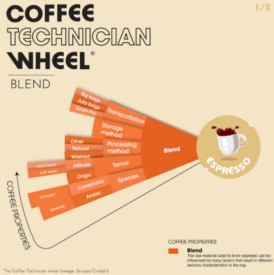 Close-up of the Blend section of the wheel. This one is alternating shades of orange and covers: transportation, storage method, processing method, terroir, and species, expanding further into subcategories.