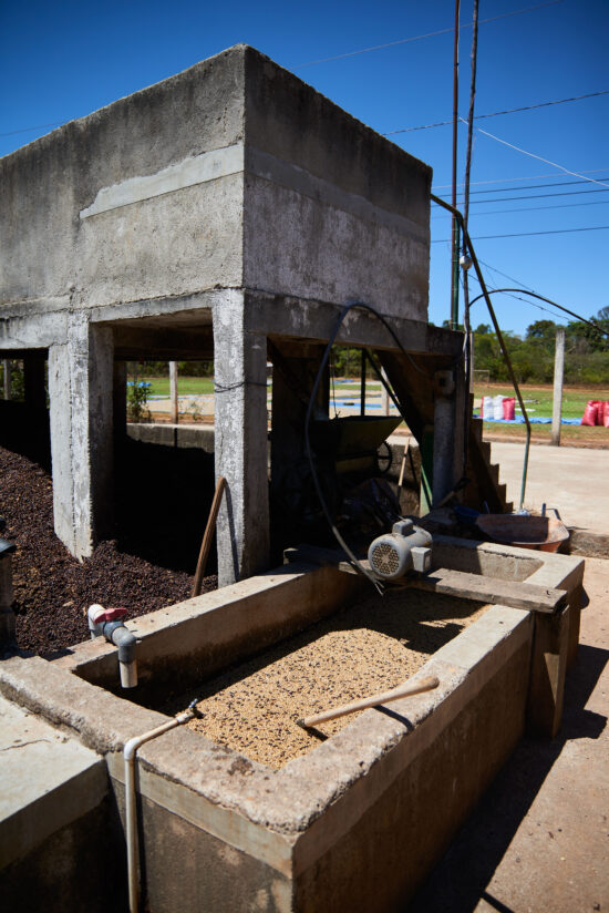 A washing station is a complex concrete setup with a big vat for water and beans to soak, pipes going in and out to drain or add water, and a fan or motor situated on top. Here a long tool for stirring sits in the vat of beans. Stairs lead up to a second landing, presumably with another soaking vat.