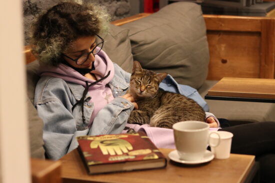 A woman in glasses sits on a gray couch next to a small table with a big graphic novel and coffee mug. A tabby cat sits on her lap with its eyes closed while she pets it.