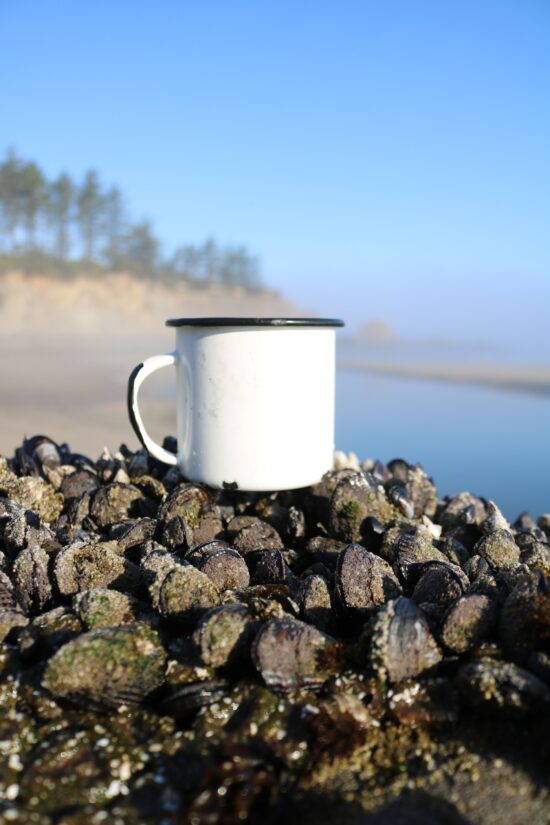 A photo of a white camp coffee mug on the rocky coast of Oregon. The waterfront is in the background, with tall evergreen trees in the distance.