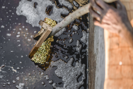 Recently washed beans held in clear water and free of mucilage and gunk.