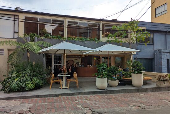 Tropicalia has coffee plants in huge white cement planters on the patio, as well as tables and chairs set up under umbrellas. The biulding os painted blue and gray and has large windows upstairs.