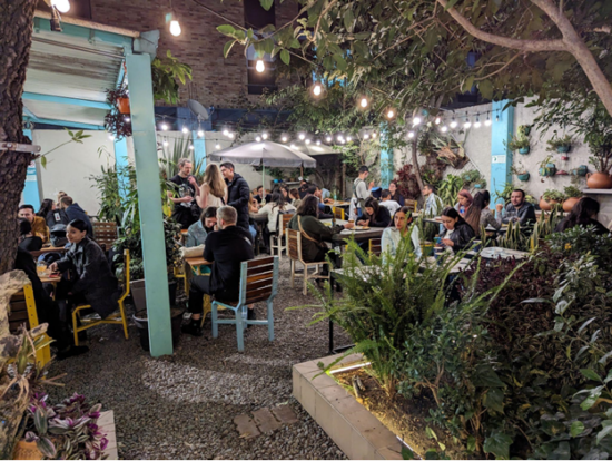 The yard at Varietale features an awning, blue and yellow chairs, patio umbrellas over tables, and surroundings of lush plants and trees. 