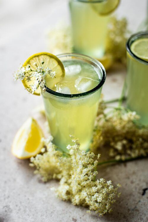 A glass of elderflower lemonade witha lemon wheel on the rim, and sliced lemons and elderflower bunches around it.