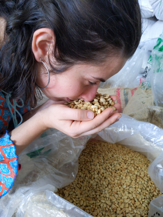 Helena cups unroasted beans to her nose for a sniff test. The beans are being kept in a plastic-lined barrel for storage. 