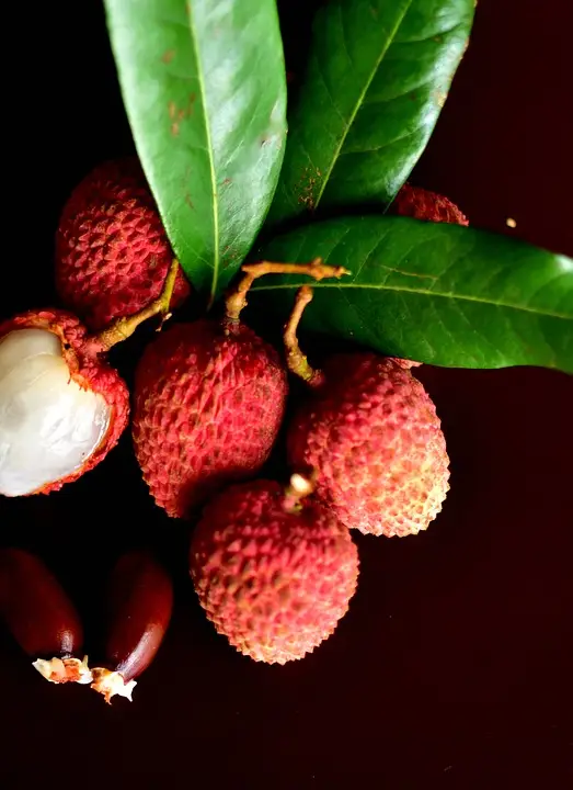 Lychee fruit on a branch. The leaves are long, deep green and glossy with smooth edges. The fruits hang in small clusters, with a surface similar to a raspberry in color, but with a bumpy skin, almost like leather.One of the fruits is peeled to show the white flesh inside, which looks shiny.
