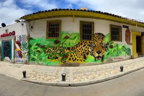 The jaguar mural on the outside wall of the cafe. The jaguar's back rises up from green vegetation, including coffee trees with red cherries, and the cat's head is turned to face the viewer. It's yellow with brown and black spots and yellow eyes.