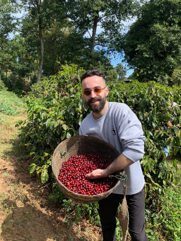 Suleyman Rifat Yalcin holds a basket with red, ripe coffee cherries in it while standing in front of a coffee plant.