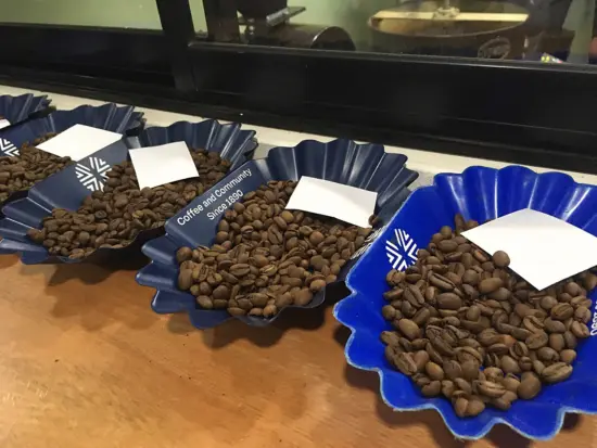 Varios cafés tostados están disponibles para catar en bandejas azules, que se mantienen listas para los visitantes de la finca.
