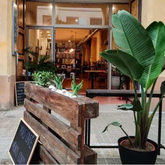 Outside Flying Bean are tropical plants, large windows and blackboard signs.