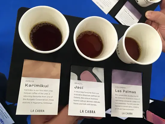 3 paper cups of Kenya, Brazil, and Colombia coffees each labled on a paper tray.