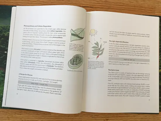 The book is open to a two page spread on photosynthesis. Illustrations show the sun, the inside of a leaf's layers, the inside of a plant cell, and labeled parts of a coffee plant.