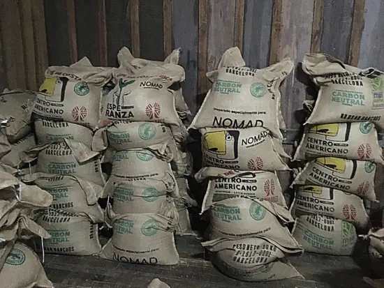 Giant white bags of green coffee beans are stacked up in storage. All are stamped with NOMAD and shipping info.