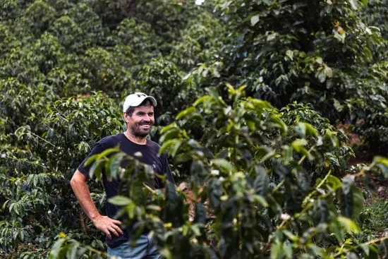 Damien Chavez smiles amid coffee plants.