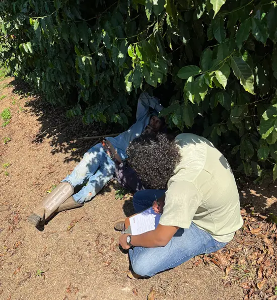 A coffee worker reclines in the shade while being interviewed by another person.