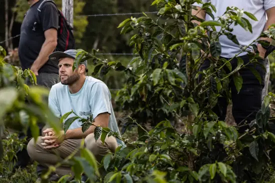Jared crouches by coffee plants at a coffee farm.