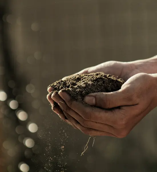 Two hands cradle a small mound of dirt.