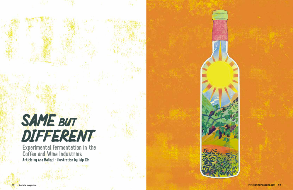 Two-page spread for Same but Different Fermentation in Wine and Coffee with an illustration on the right page of a wine bottle and title on left page.