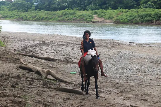 A worker rides a horse along the riverside.