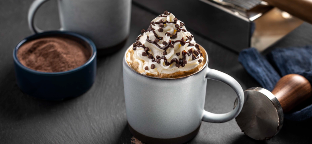 A mug with hot cocoa inside and whipped cream and chocolate chips on top.