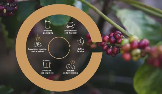 A circle representing parts of the coffee chain: farming, harvest and processing, collection and shipment, screening, roasting and grinding, products and packaging, and consumption and disposal.