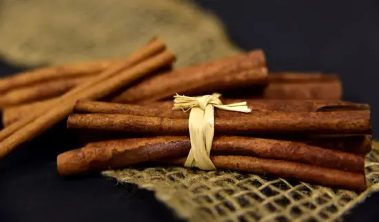 A bundle of cinnamon sticks tied with a straw ribbon.
