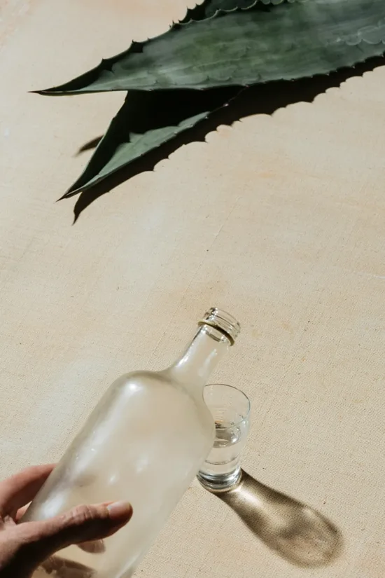 Agave leaves and a bottle of clear liquid and shot glass.