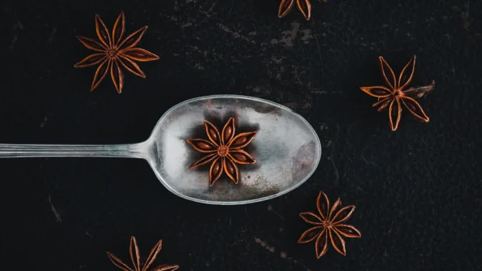 star anise pod in a spoon