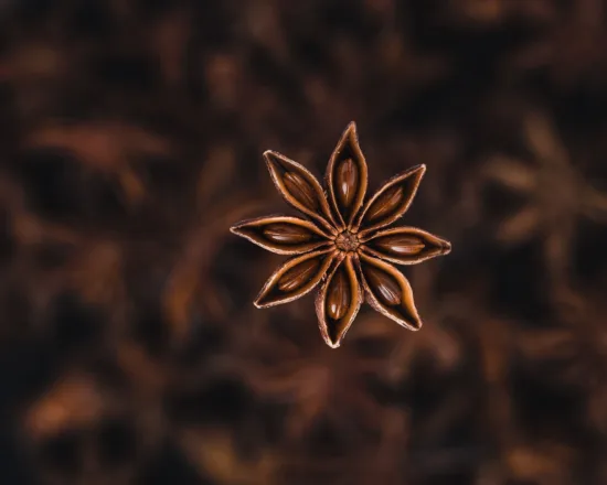 Star anise seed pod, an eight-pointed star shape.
