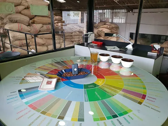 A table with the flavor wheel printed on it, beans in a tray, and cupping vessels and spoons.
