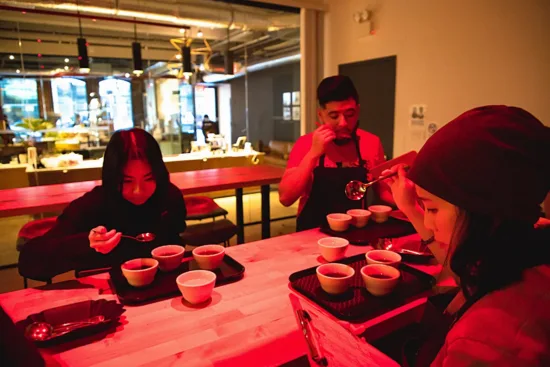 Three people doing a cupping with three coffee each, and slurping from cupping spoons.