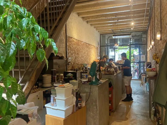 A large plant in front of stairs, with the coffee bar in the background along the wall.